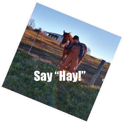 Say 'hay!'